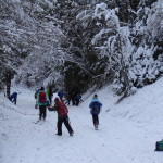 DSC00033